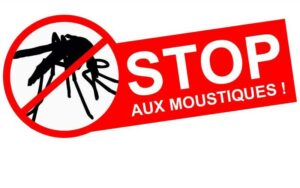 Moustiques Marrakech