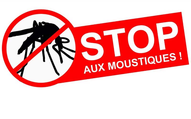 Moustiques Marrakech