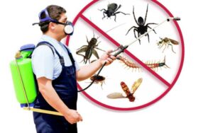 Pourquoi choisir une société de désinsectisation certifiée à Marrakech ?