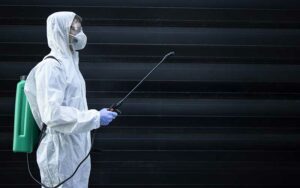 Traitement de désinsectisation à Marrakech