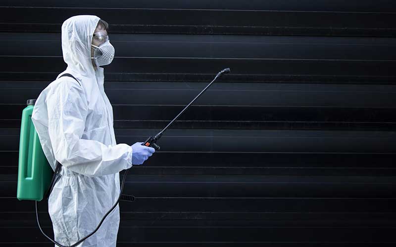 Traitement de désinsectisation à Marrakech