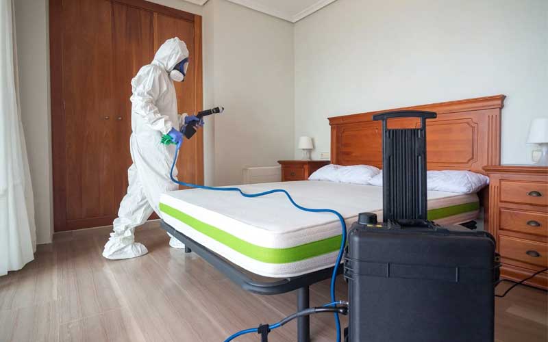 Bed Bug Prevention for Riads and Hotels in Marrakech